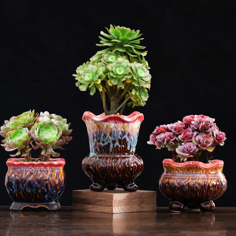Creative Glazed Flowerpot Succ - Snake Plant Ceramic 评论和价格