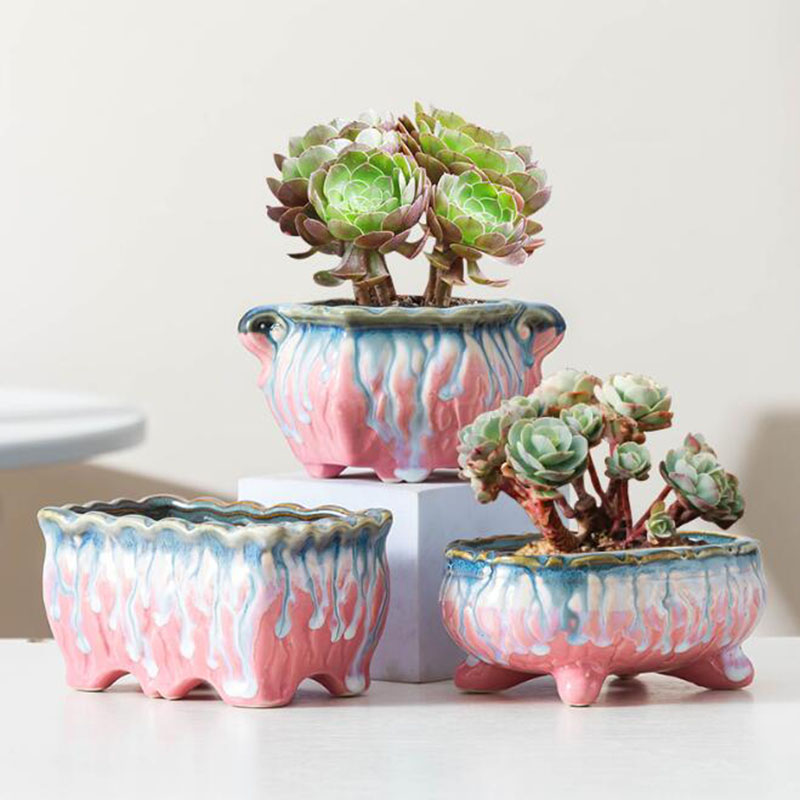 Creative Glazed Flowerpot Succ - Snake Plant Ceramic 评论和价格