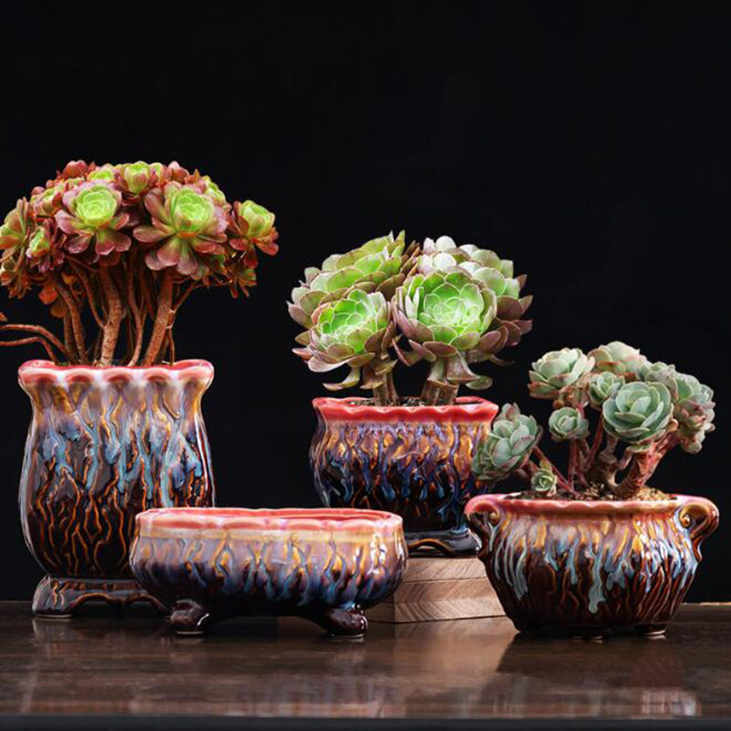 Creative Glazed Flowerpot Succ - Snake Plant Ceramic 评论和价格