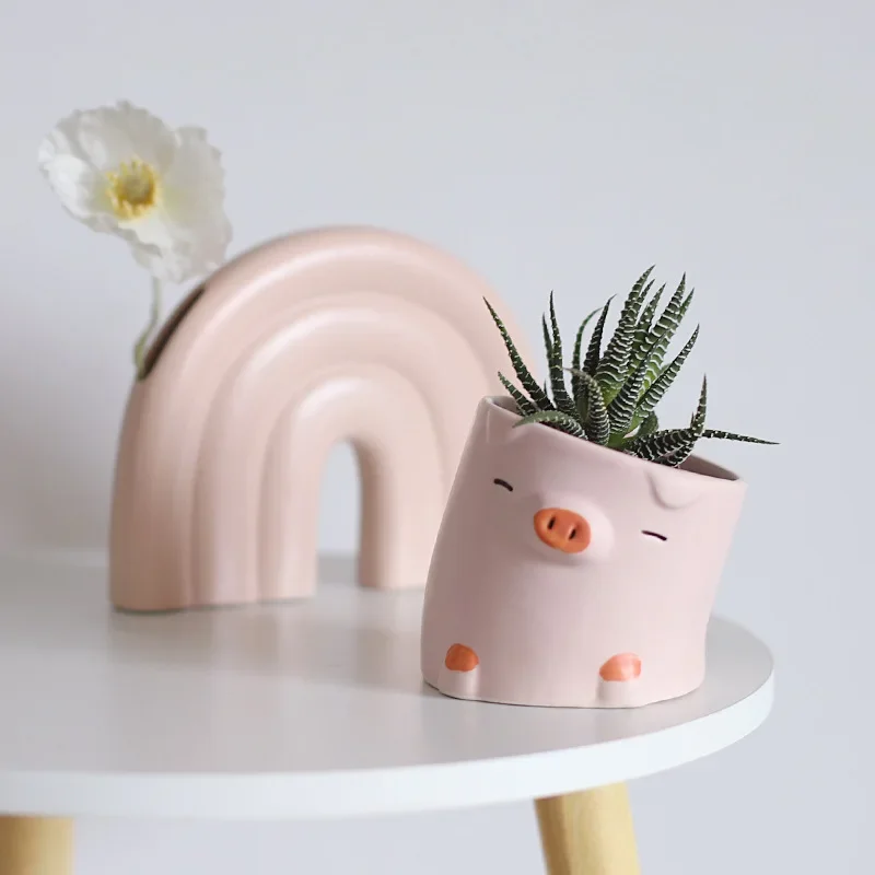 Cartoon Animals Succulent Plan - Snake Plant Ceramic 评论和价格