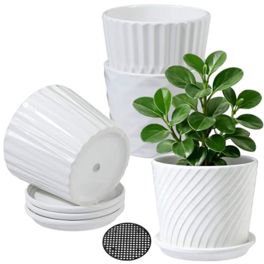 Plant Pots - Cylinder Ceramic  - Snake Plant Ceramic 评论和价格