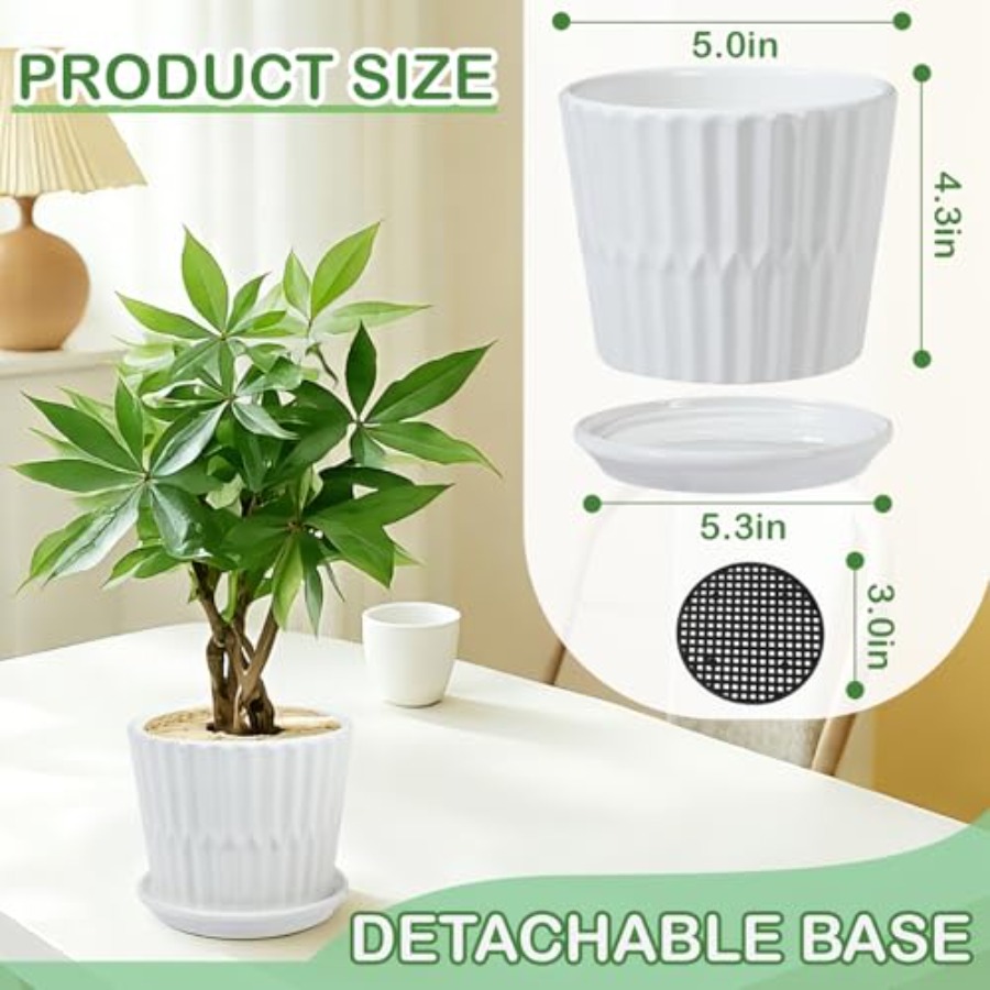 Plant Pots - Cylinder Ceramic  - Snake Plant Ceramic 评论和价格