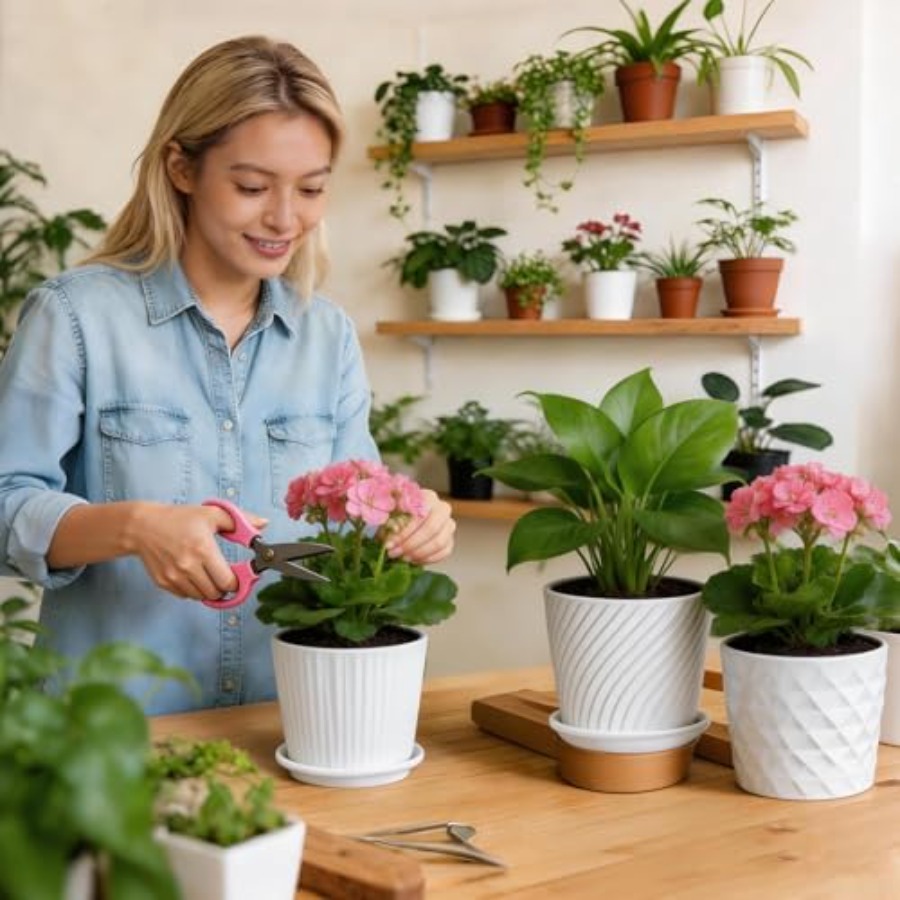 Plant Pots - Cylinder Ceramic  - Snake Plant Ceramic 评论和价格