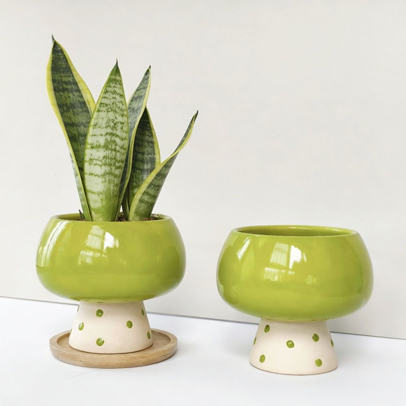 Stylish Minimalist Ceramic Flo - Snake Plant Ceramic 评论和价格
