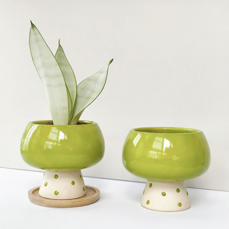 Stylish Minimalist Ceramic Flo - Snake Plant Ceramic 评论和价格