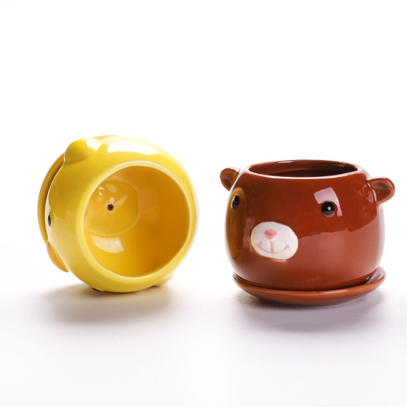 Succulent Cartoon Flowerpot Ce - Snake Plant Ceramic 评论和价格