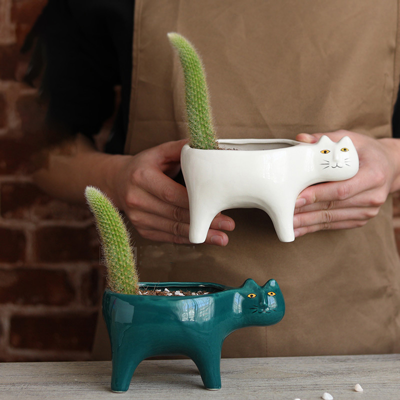 Cute Cat Ceramic Garden Flower - Snake Plant Ceramic 评论和价格