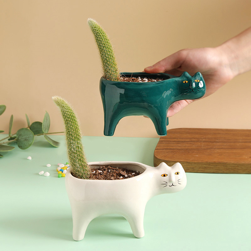 Cute Cat Ceramic Garden Flower - Snake Plant Ceramic 评论和价格