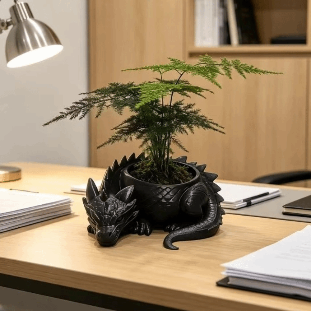 3D Printed Dragon Shaped Plant - Snake Plant Ceramic 评论和价格