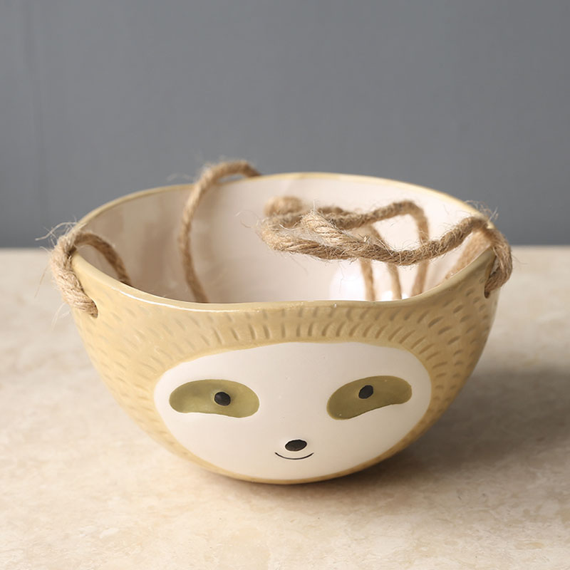 1Pcs Ceramic Hanging Plant Pot - Snake Plant Ceramic 评论和价格